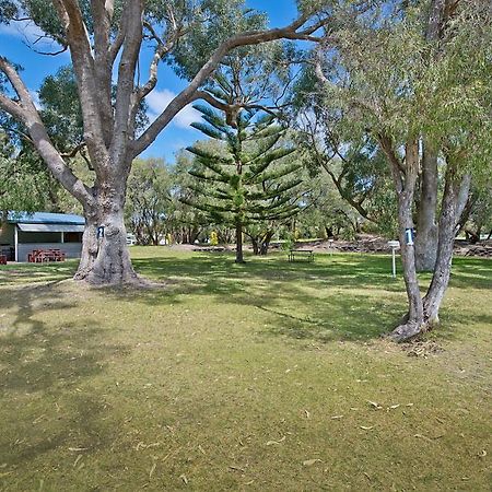 Acclaim Rose Gardens Beachside Holiday Park Albany Exteriör bild