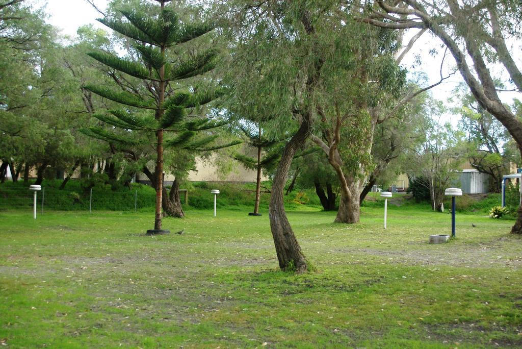 Acclaim Rose Gardens Beachside Holiday Park Albany Exteriör bild